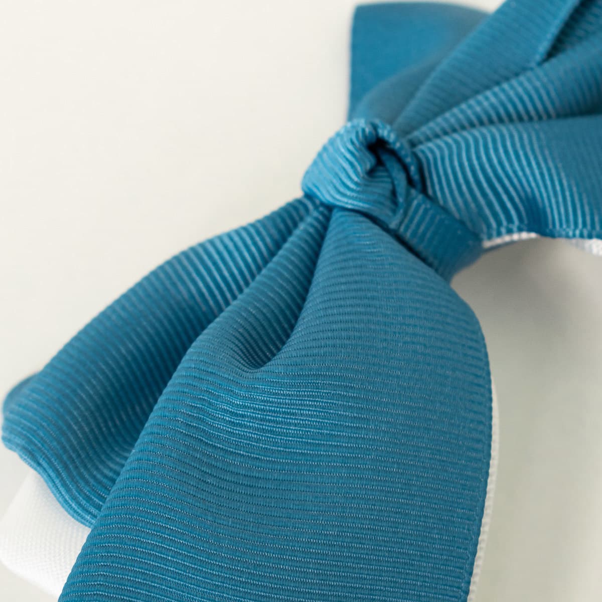 Women's Scarves Tutto Piccolo Blue