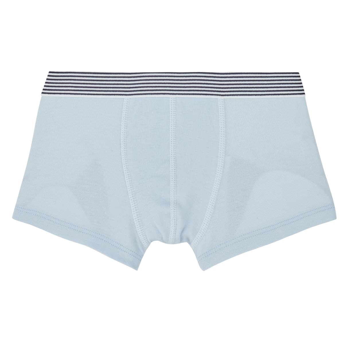 Men's Boxer Briefs Petit Bateau Multicolor