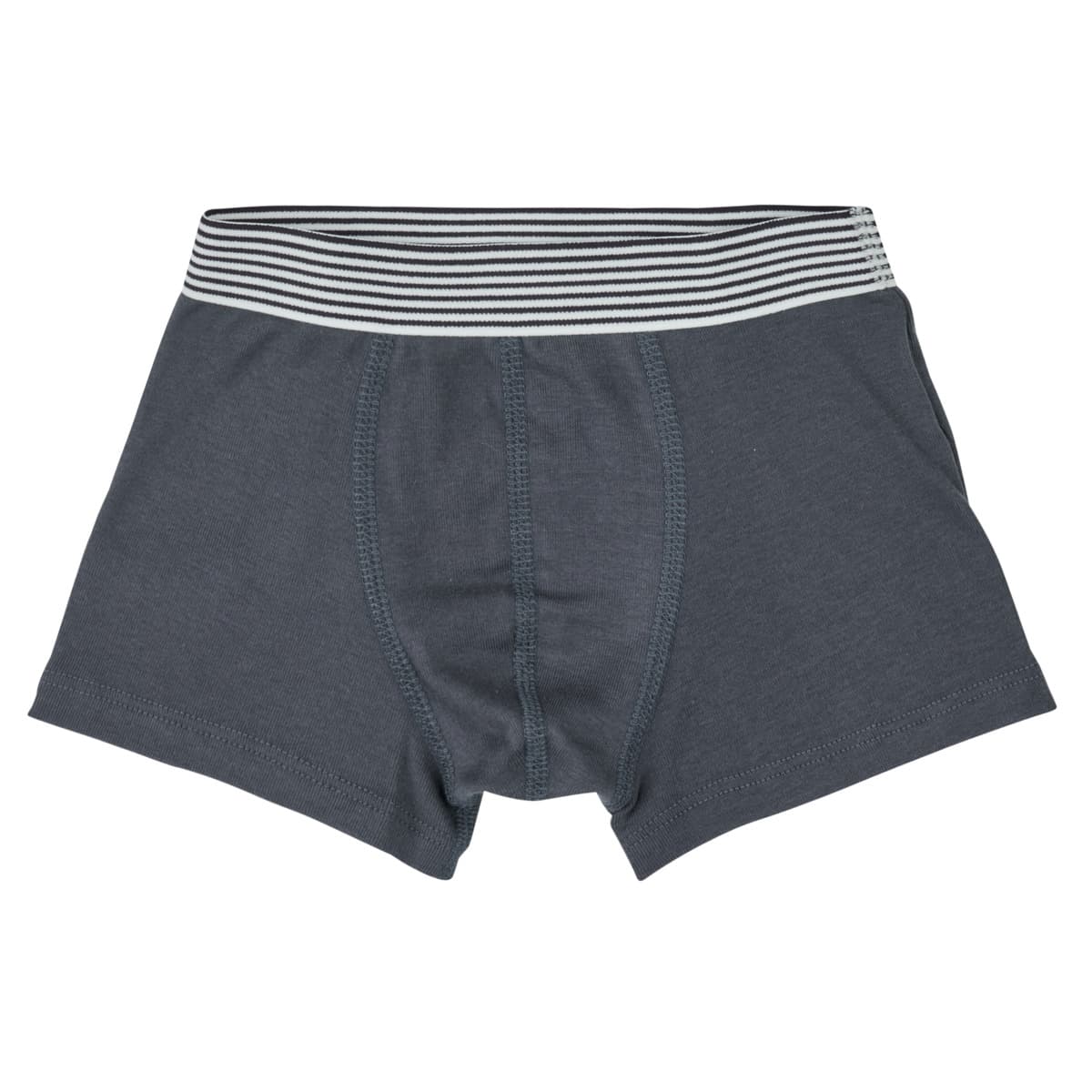 Men's Boxer Briefs Petit Bateau Multicolor