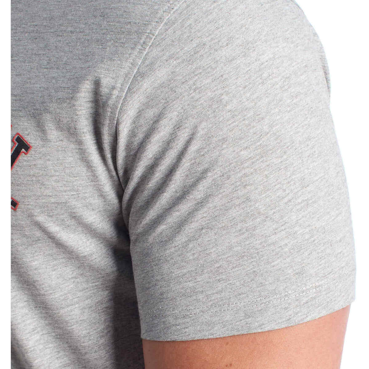 Men's T-Shirts U.S Polo Assn. Gray