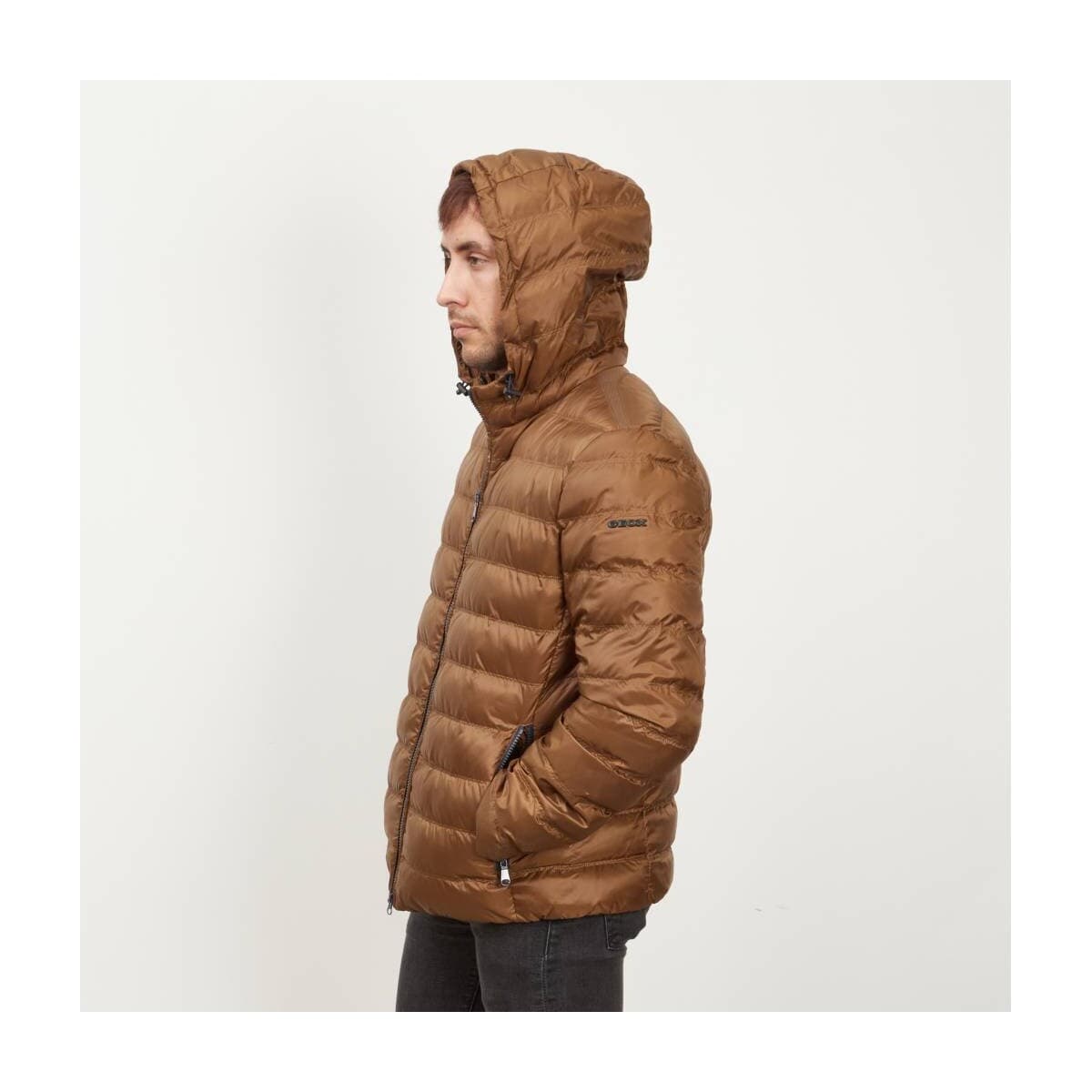Men's Jackets Geox Brown
