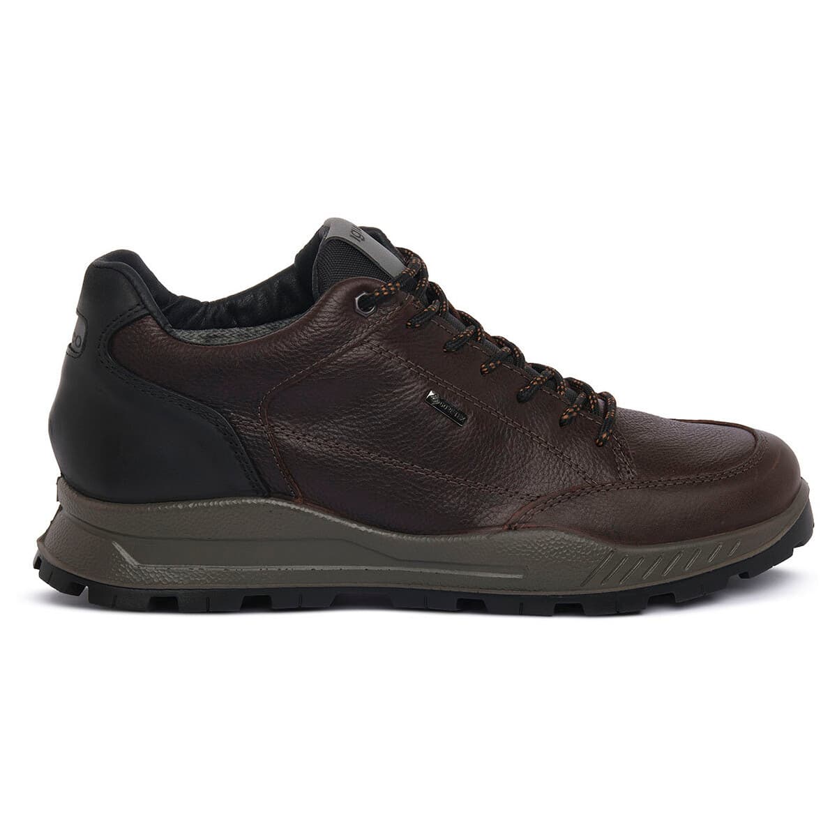 Men's Sneakers IgI&CO Brown