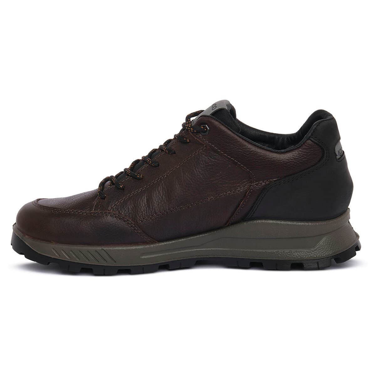 Men's Sneakers IgI&CO Brown