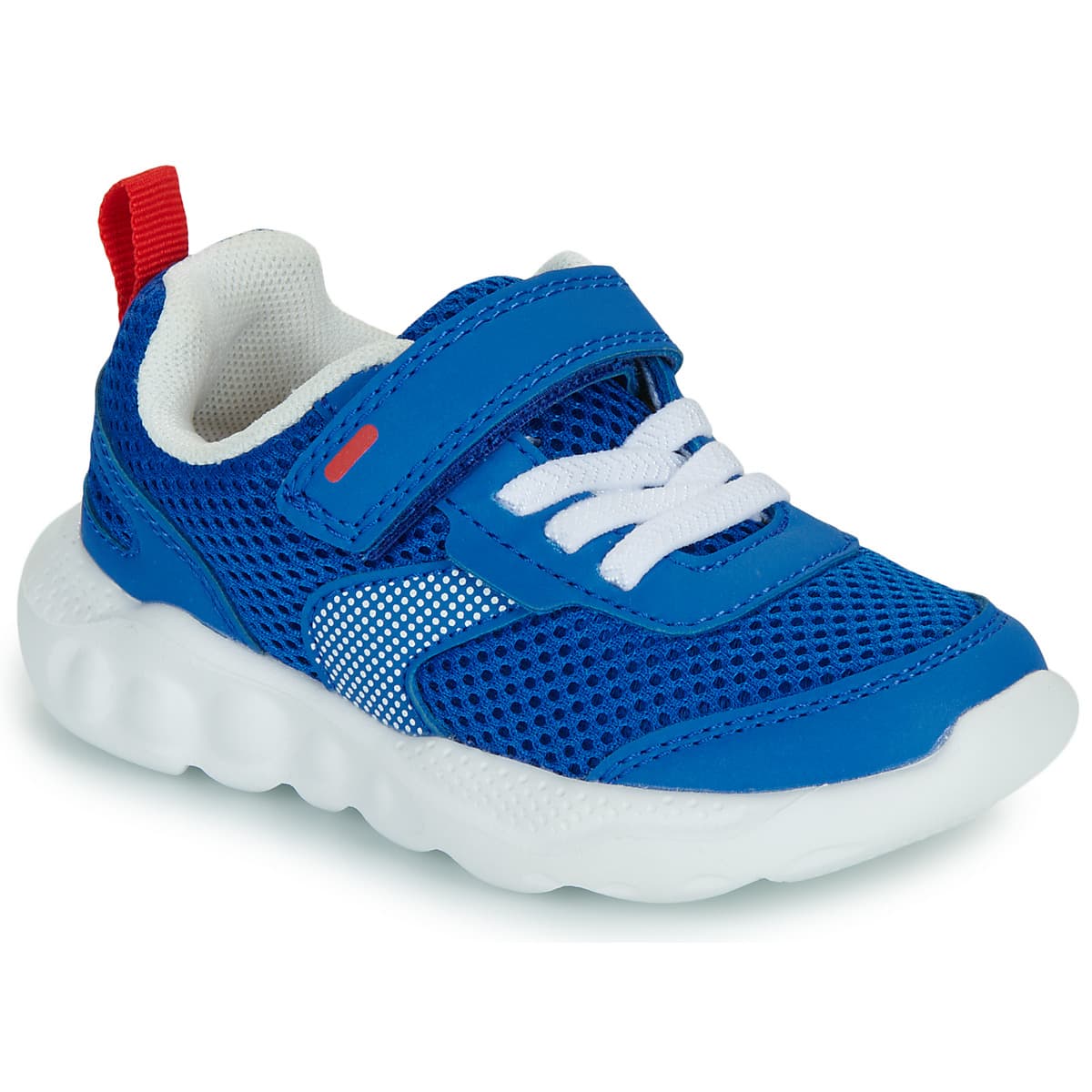Boys' Sneakers Primigi Blue