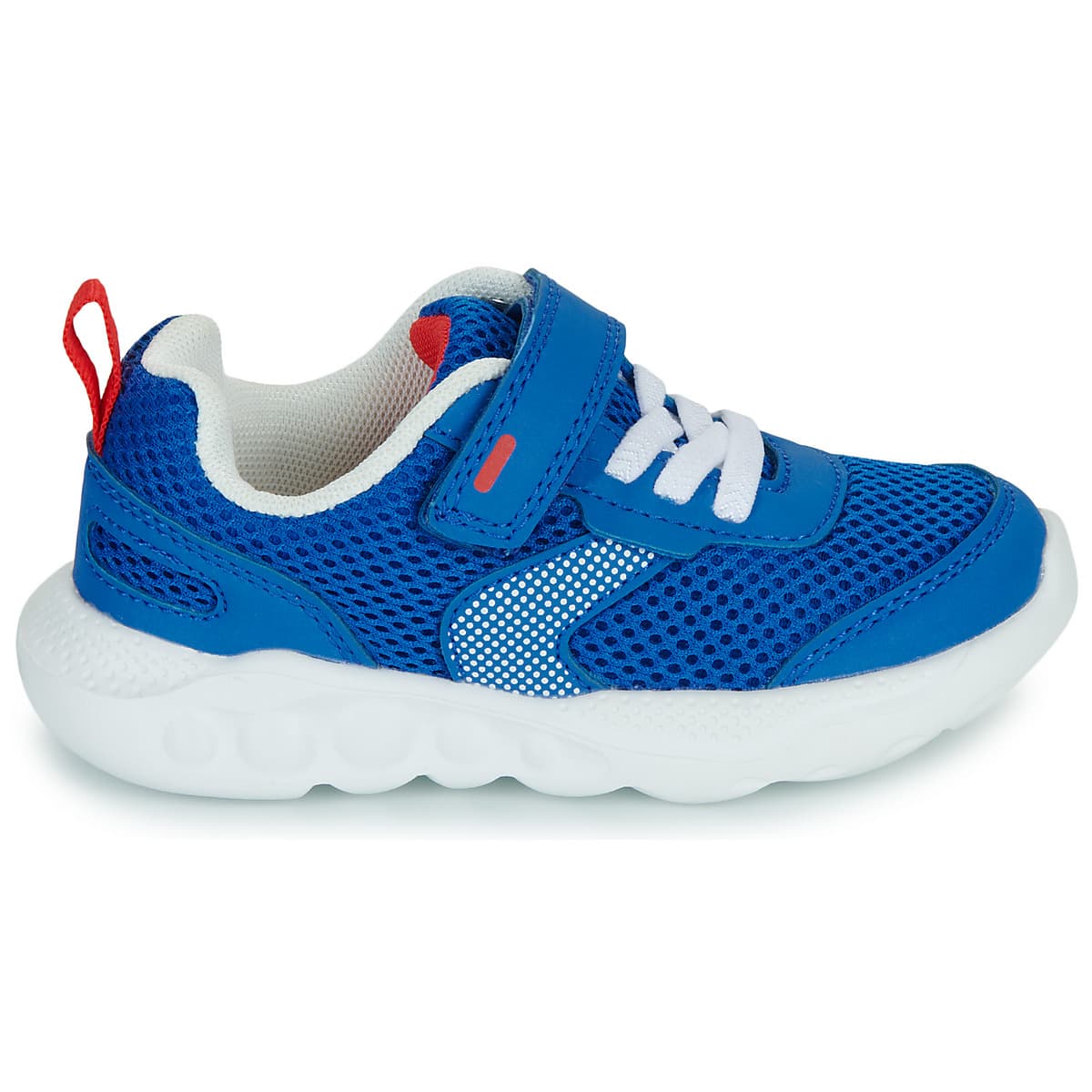 Boys' Sneakers Primigi Blue