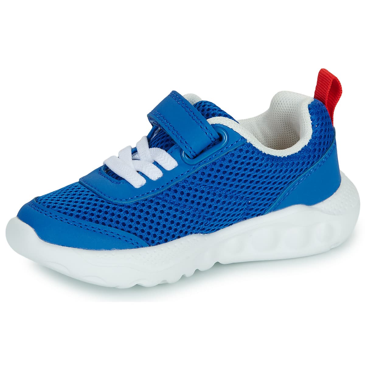 Boys' Sneakers Primigi Blue