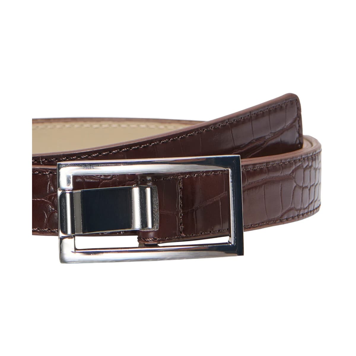 Women's Belts Only Multicolor