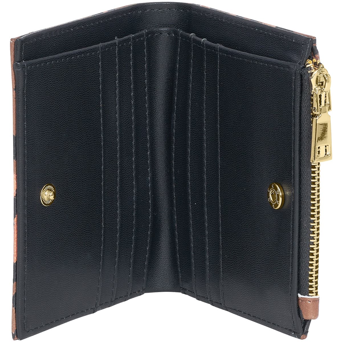 Women's Wallets Roberto Cavalli Multicolor