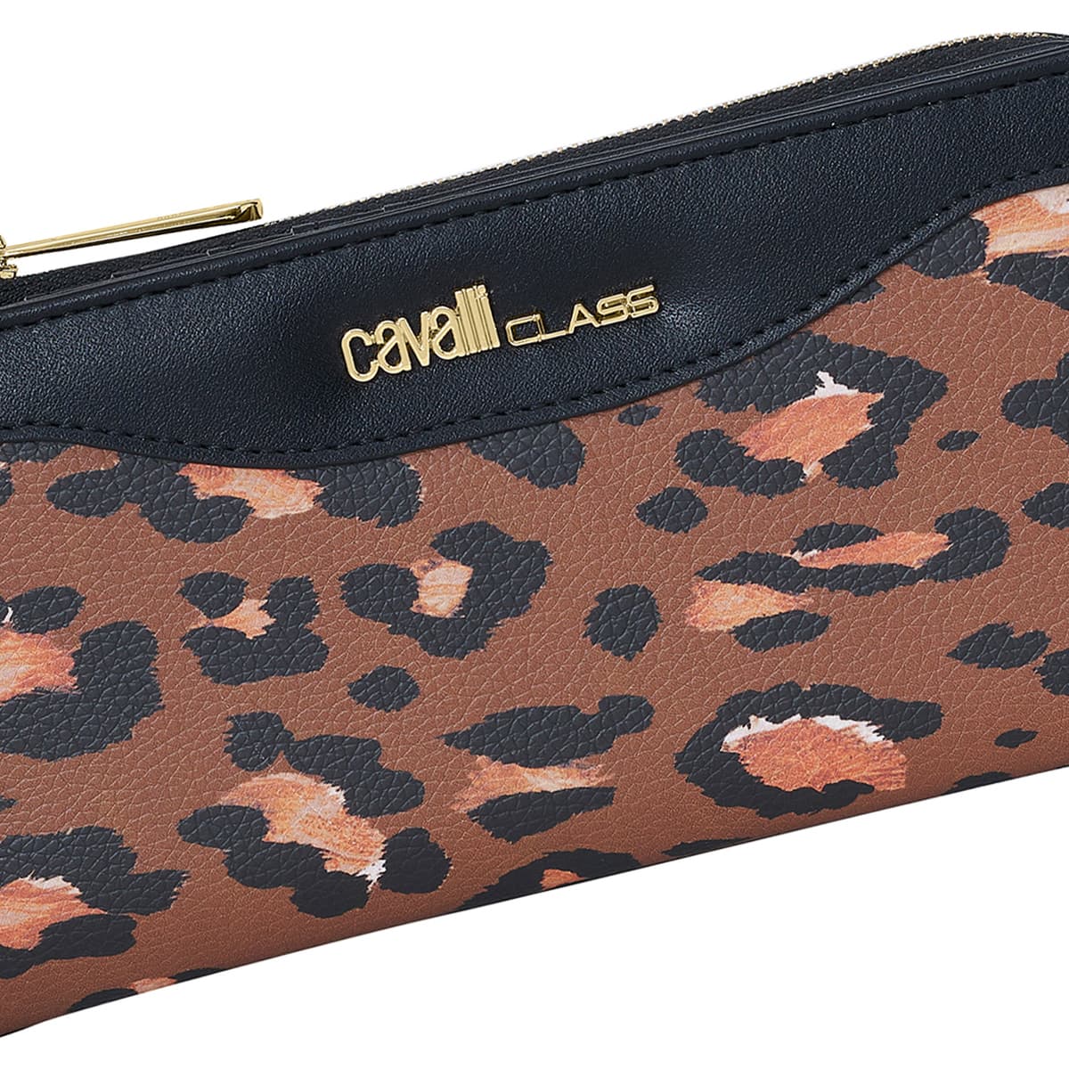 Women's Wallets Roberto Cavalli Multicolor