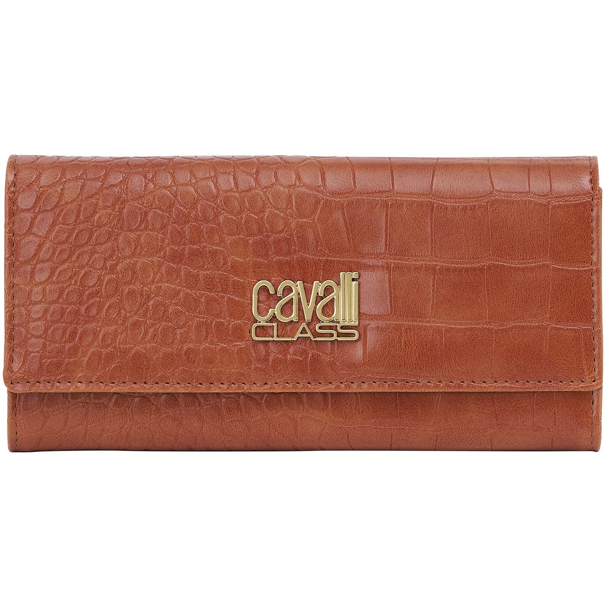 Women's Wallets Roberto Cavalli Brown