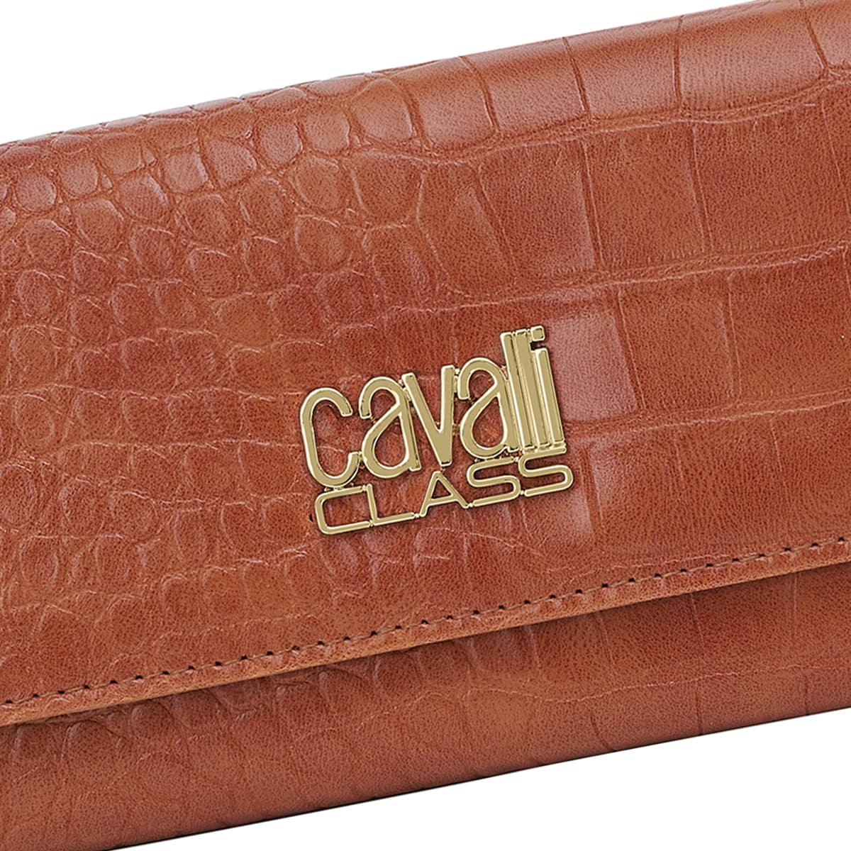 Women's Wallets Roberto Cavalli Brown