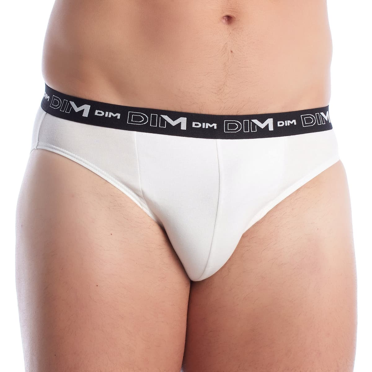 Women's Briefs DIM Multicolor