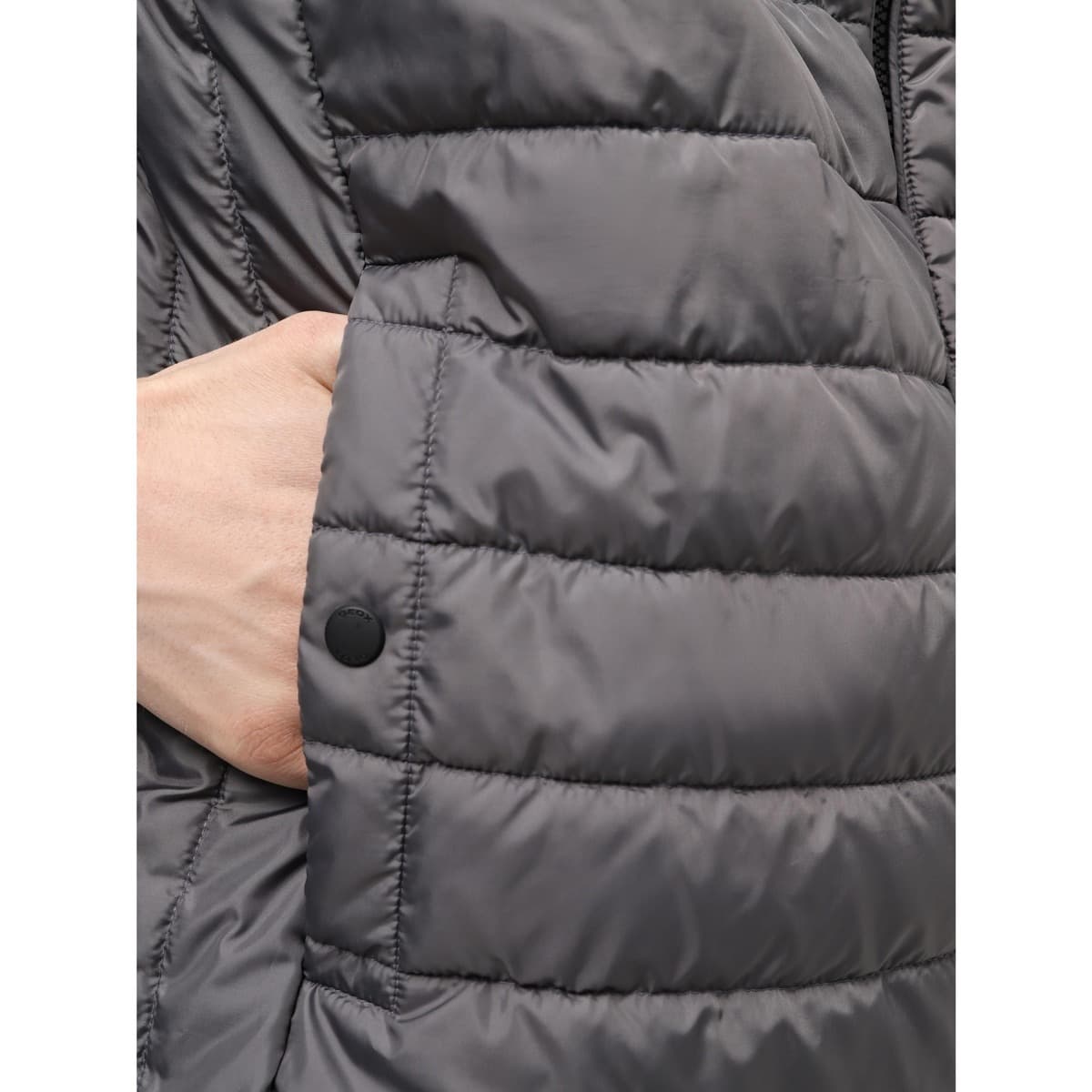 Men's Jackets Geox Gray