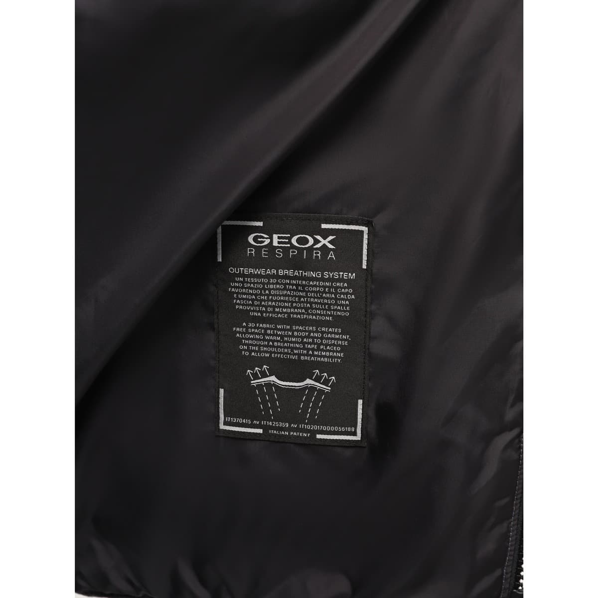 Men's Jackets Geox Gray