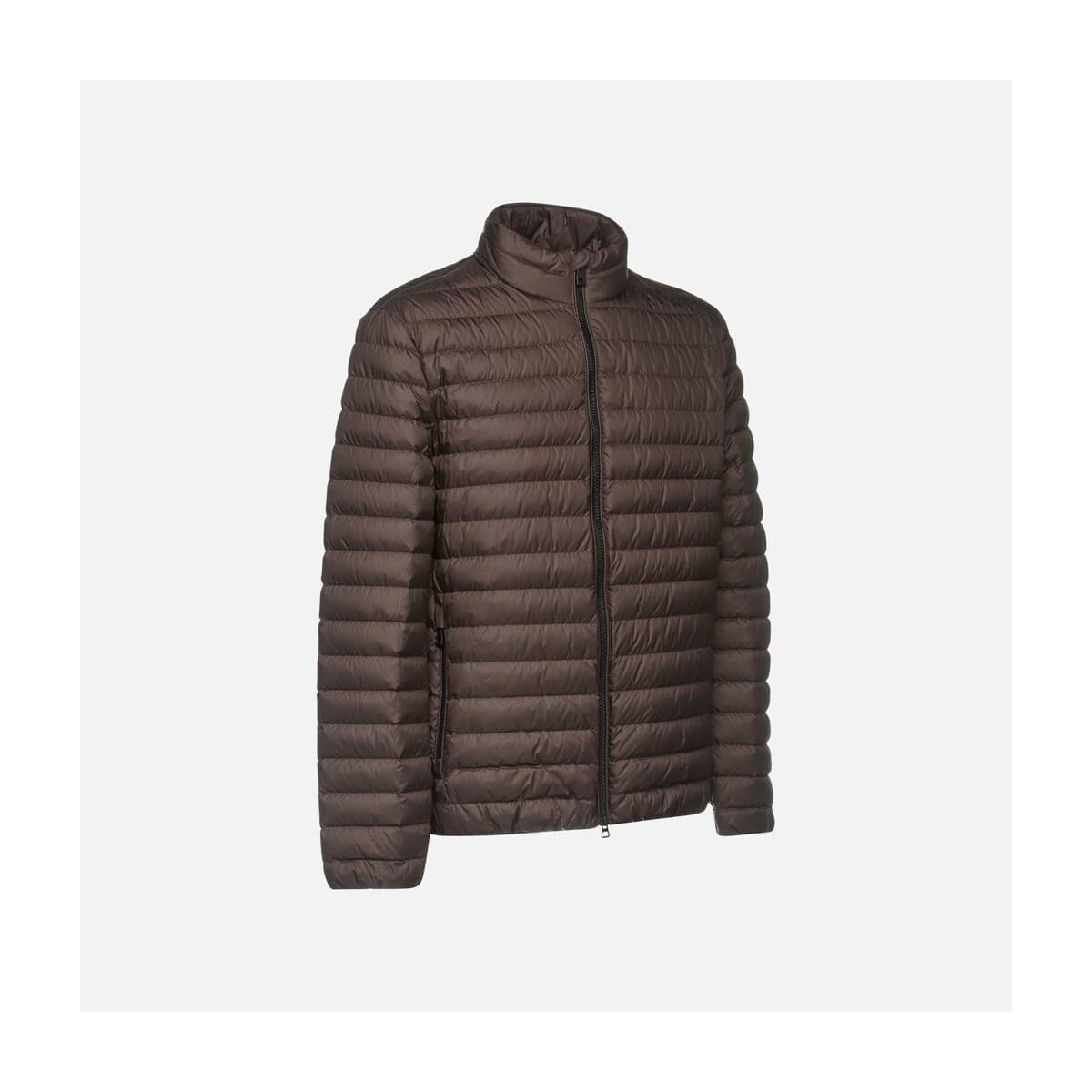 Men's Jackets Geox Brown
