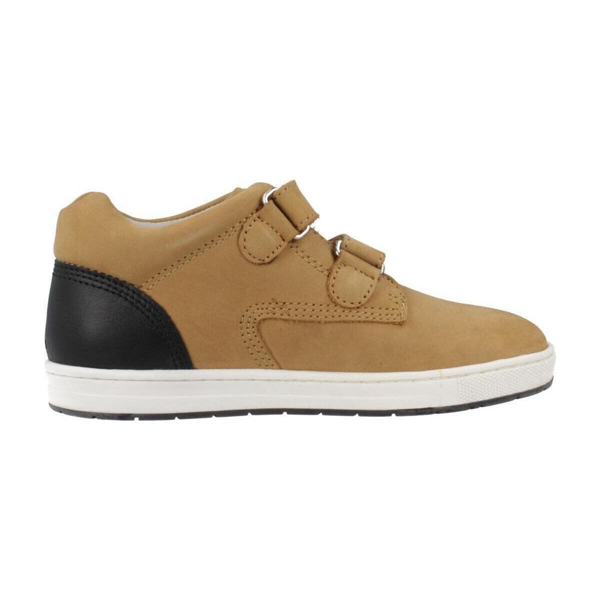 Boys' Sneakers Chicco Brown