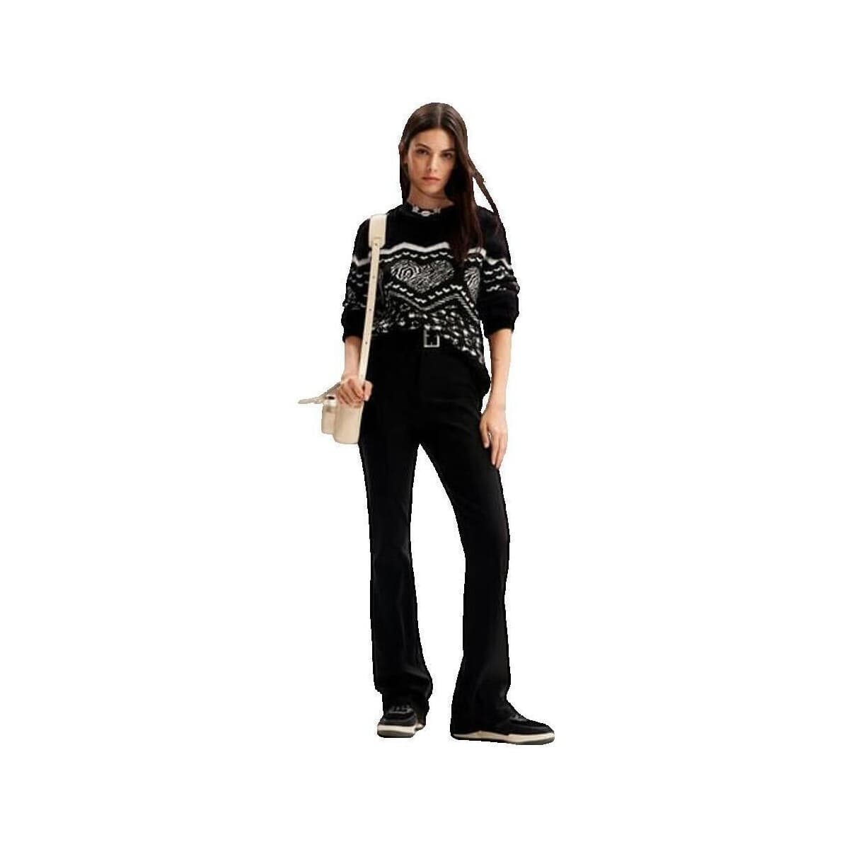 Women's Sweaters Desigual Black