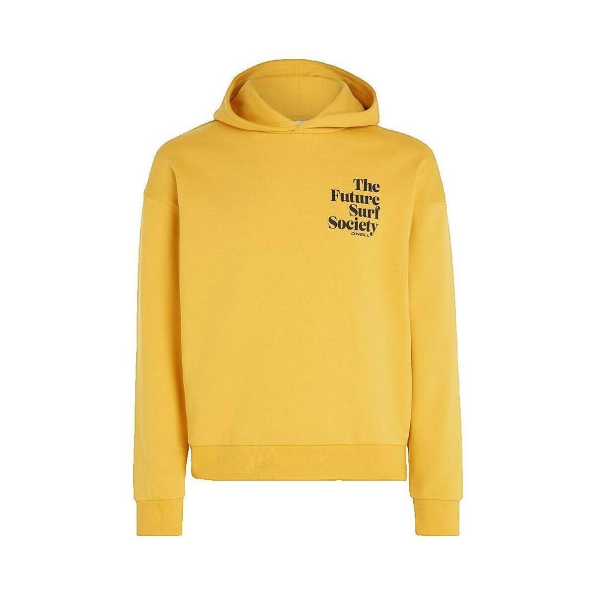 Women's Sweatshirts O'neill Gray