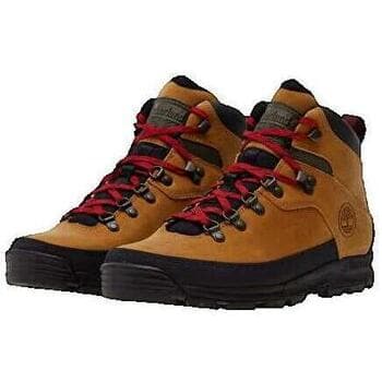 Men's Outdoor Shoes Timberland Brown