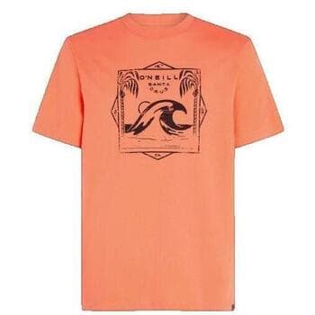Men's T-Shirts O'neill Orange