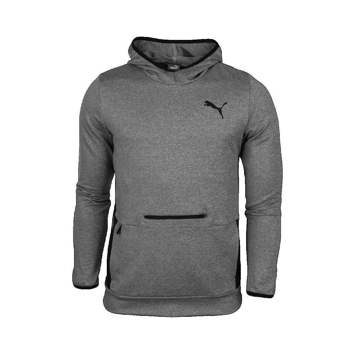 Men's Sweatshirts Puma Gray