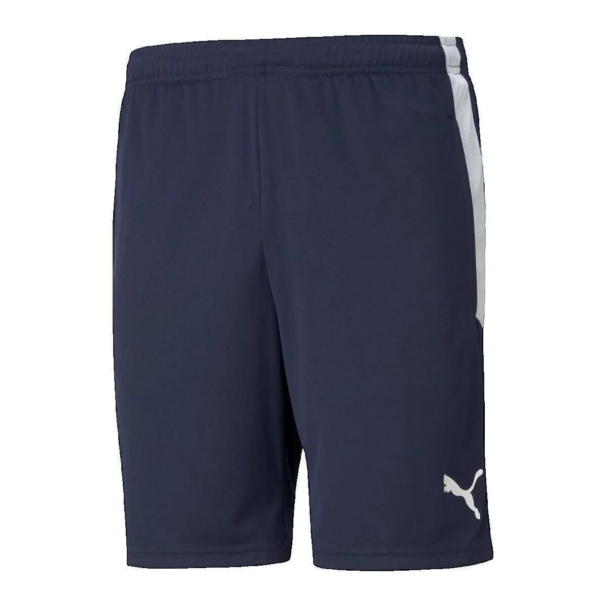 Shorts & Βερμούδες Puma Short Teamliga Training bleu