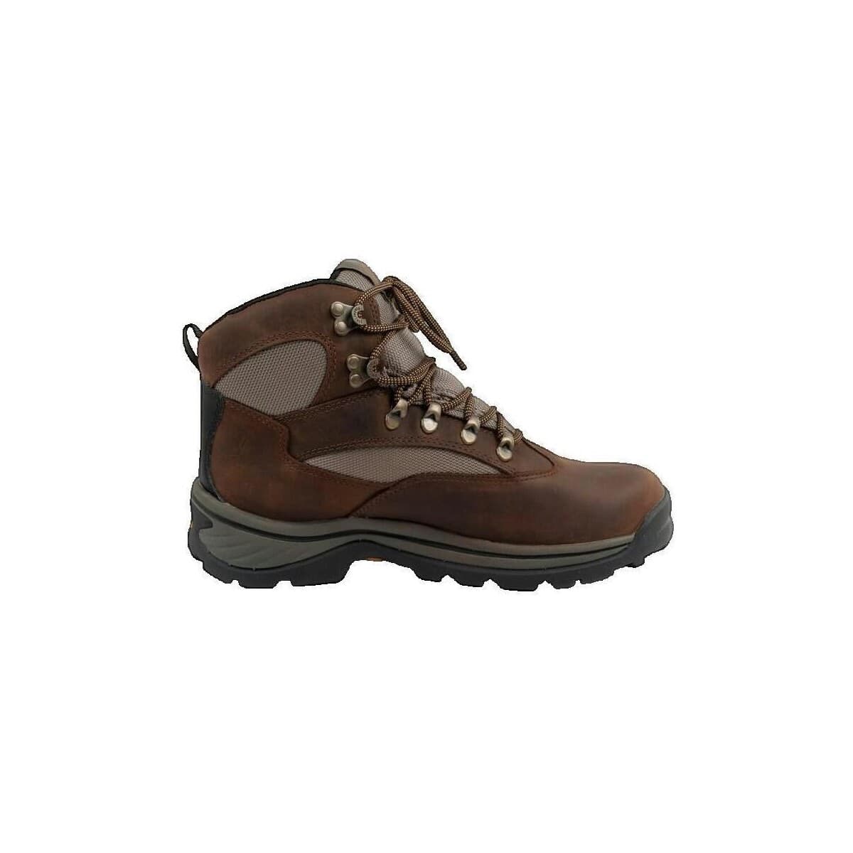 Men's Outdoor Shoes Timberland Beige