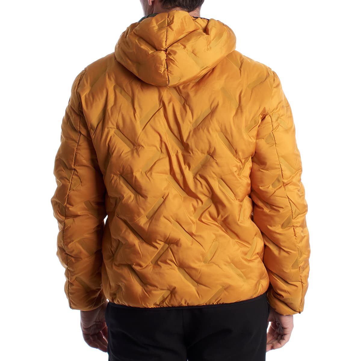 Men's Jackets U.S Polo Assn. Yellow