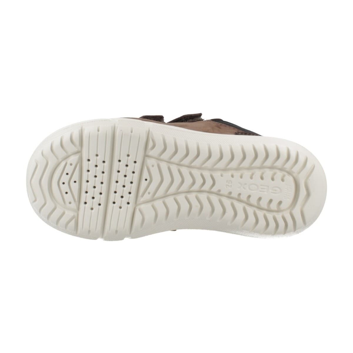 Boys' Sneakers Geox Brown