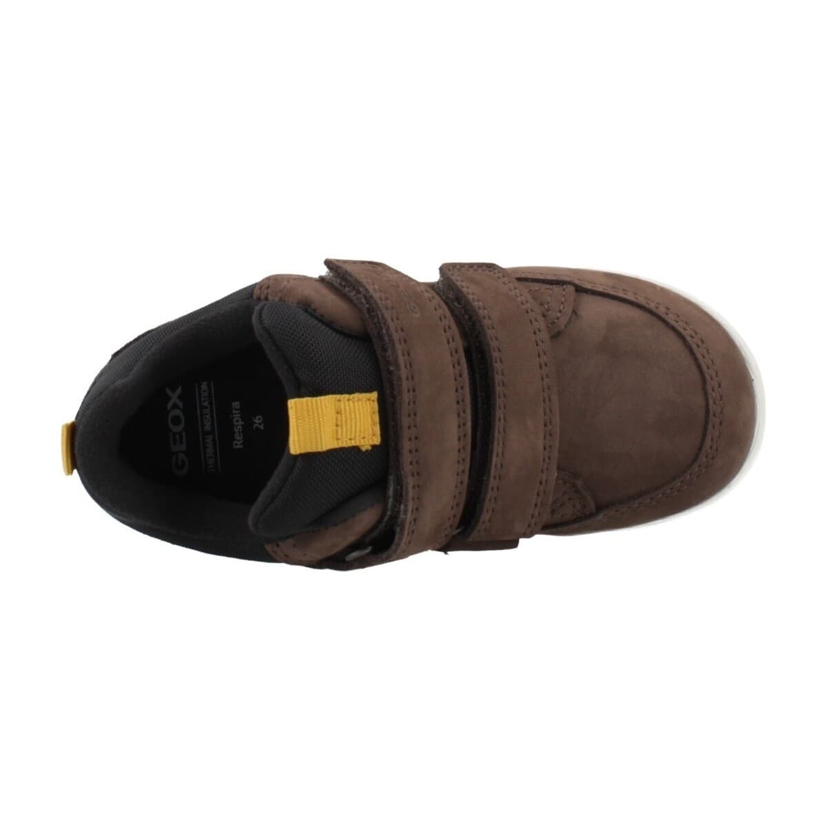Boys' Sneakers Geox Brown