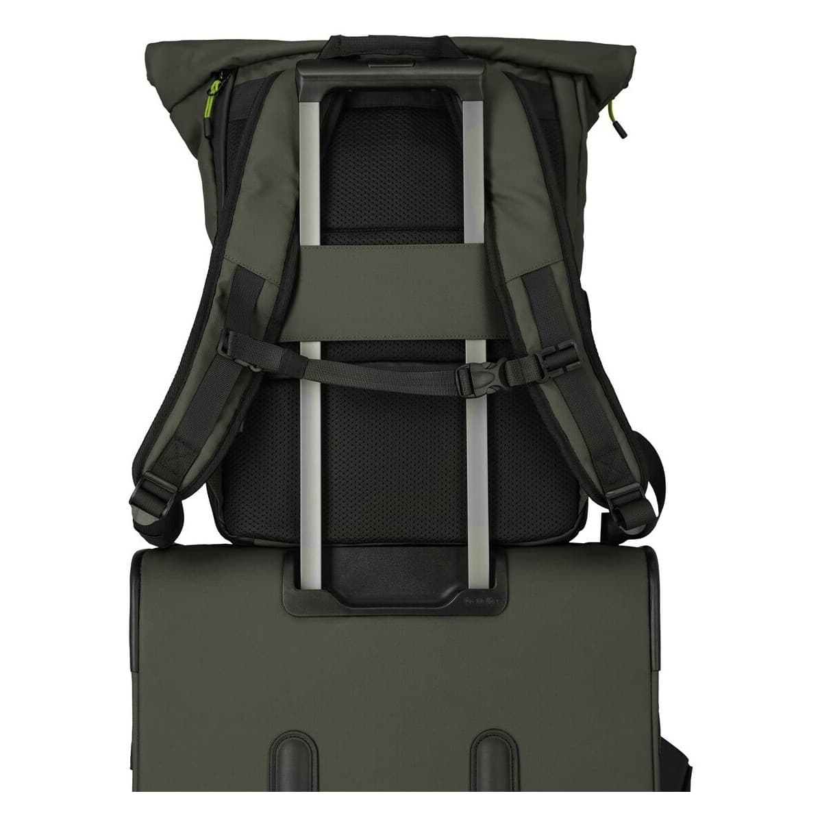 Women's Backpacks Travelite Green