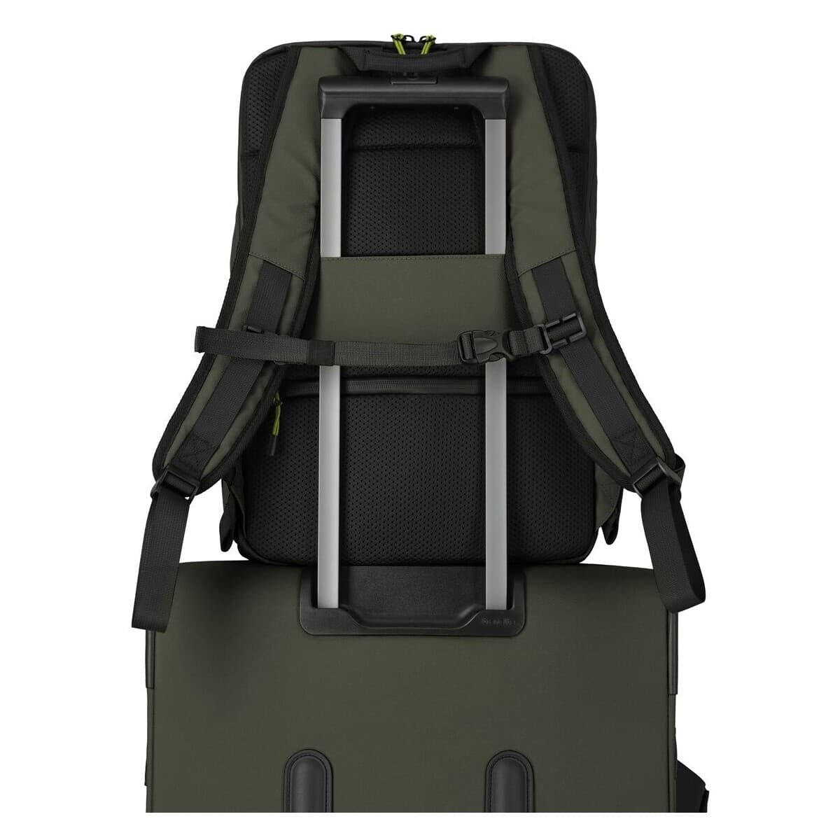 Women's Backpacks Travelite Green