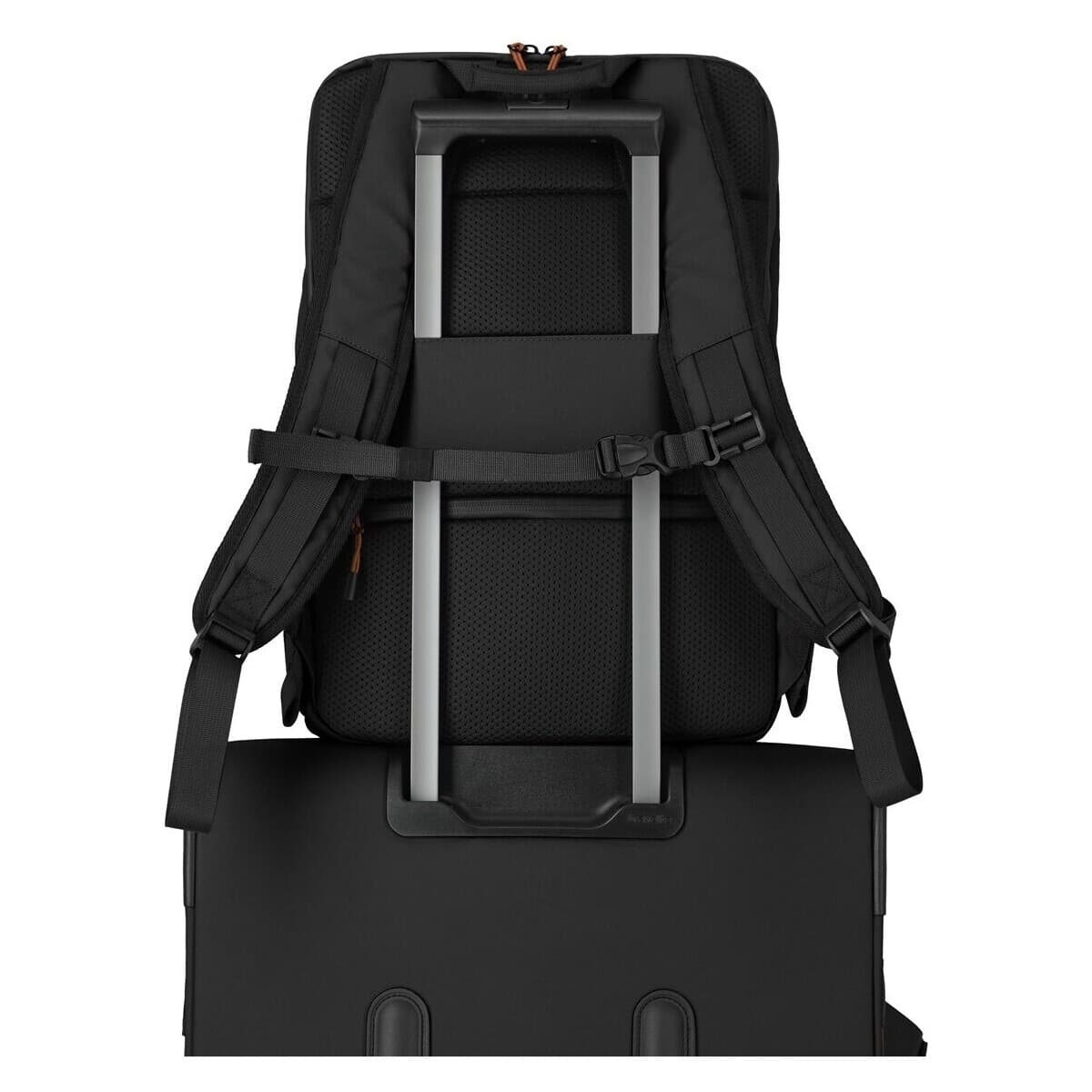 Women's Backpacks Travelite Black