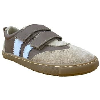 Boys' Sneakers Blanditos Brown