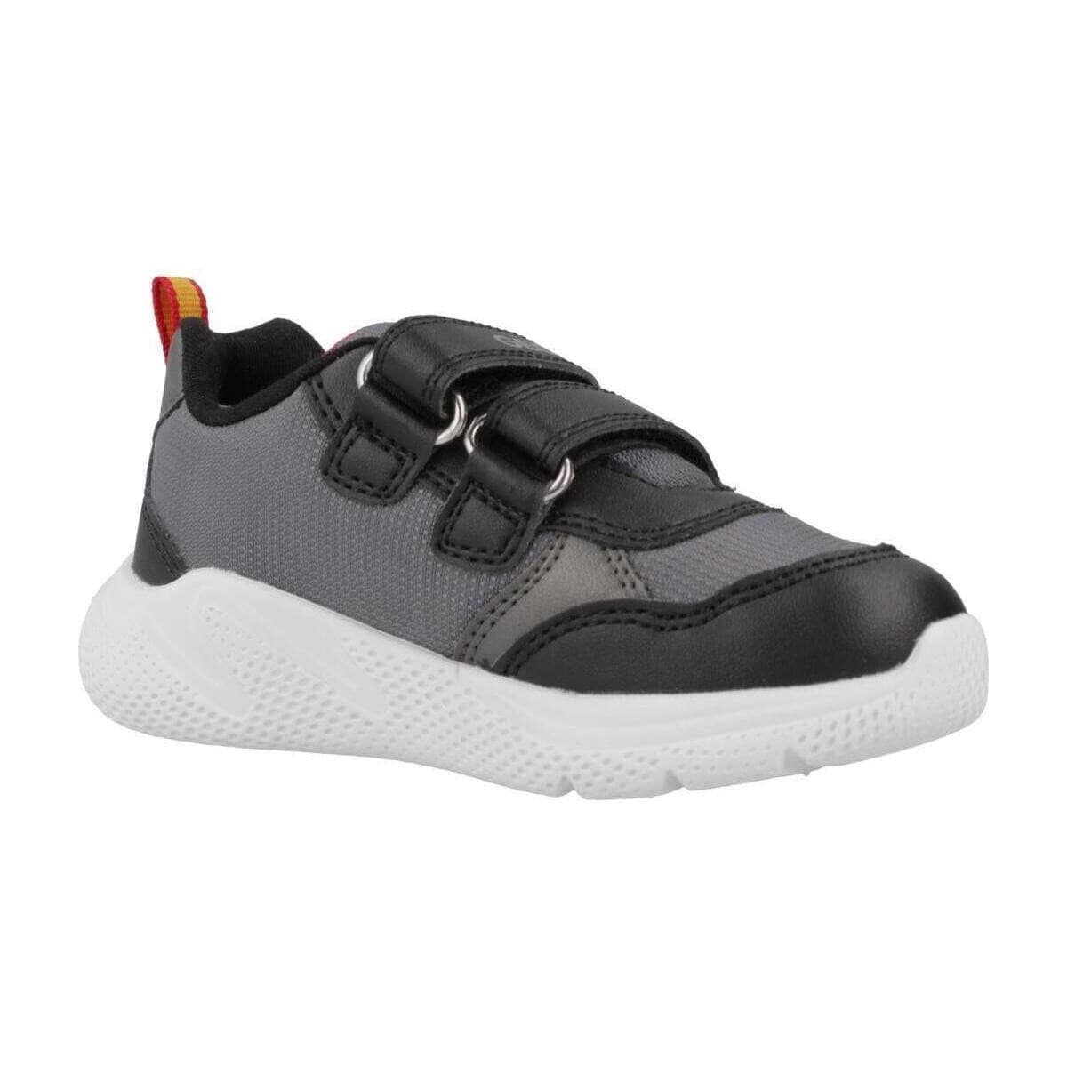 Boys' Sneakers Geox Gray