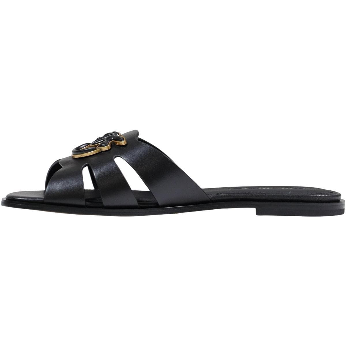 Women's Mules Pinko Black