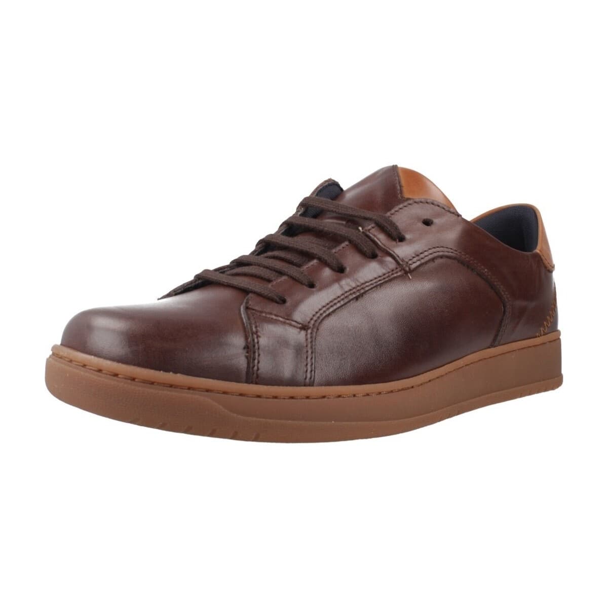 Men's Sneakers Pitillos Brown