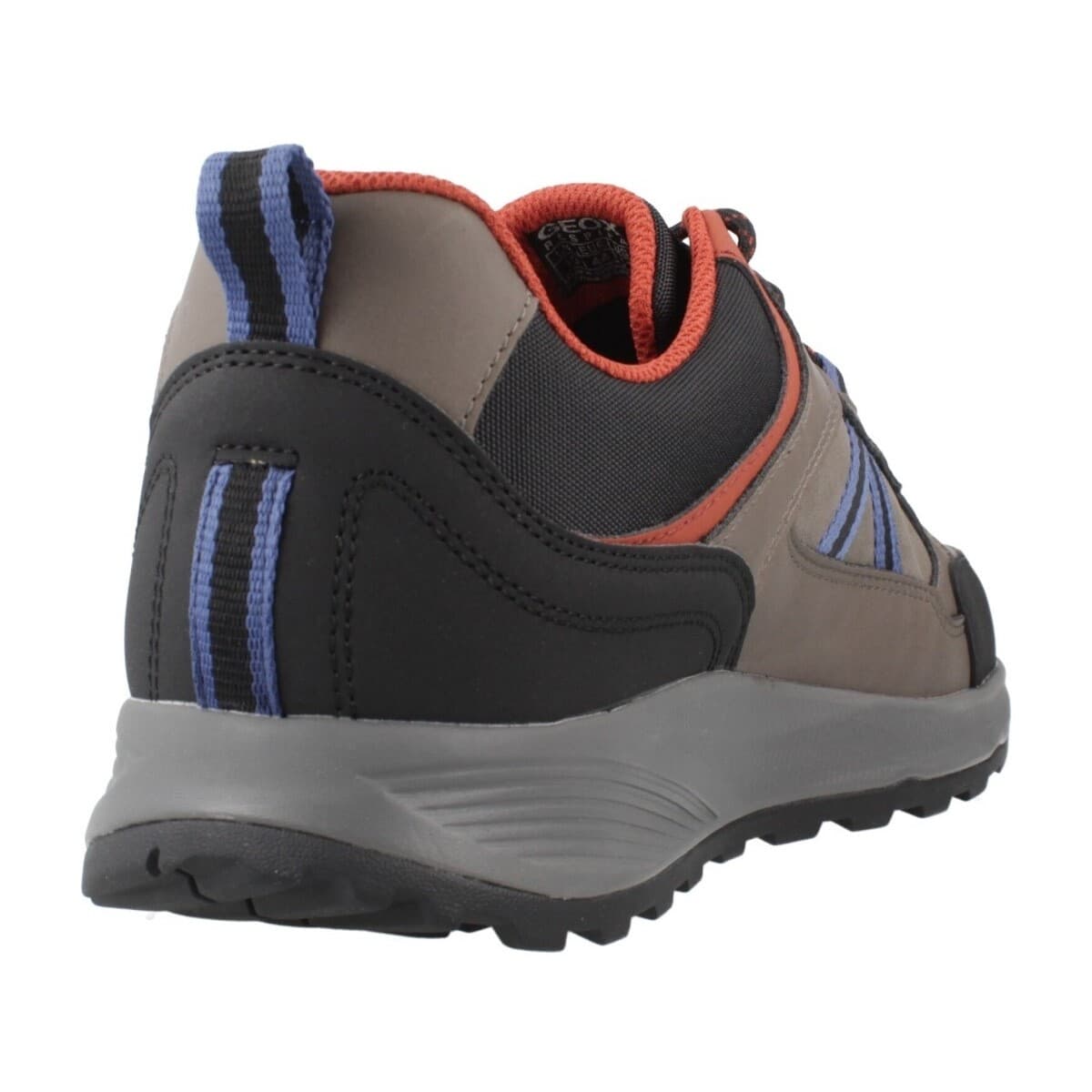 Men's Sneakers Geox Brown