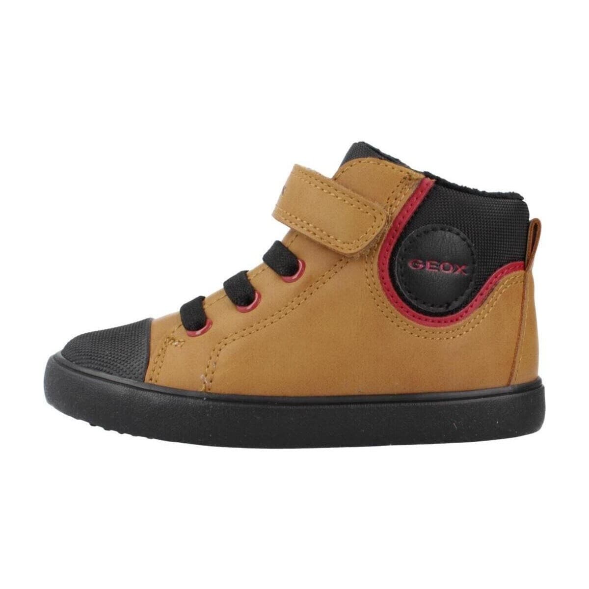 Boys' Sneakers Geox Brown