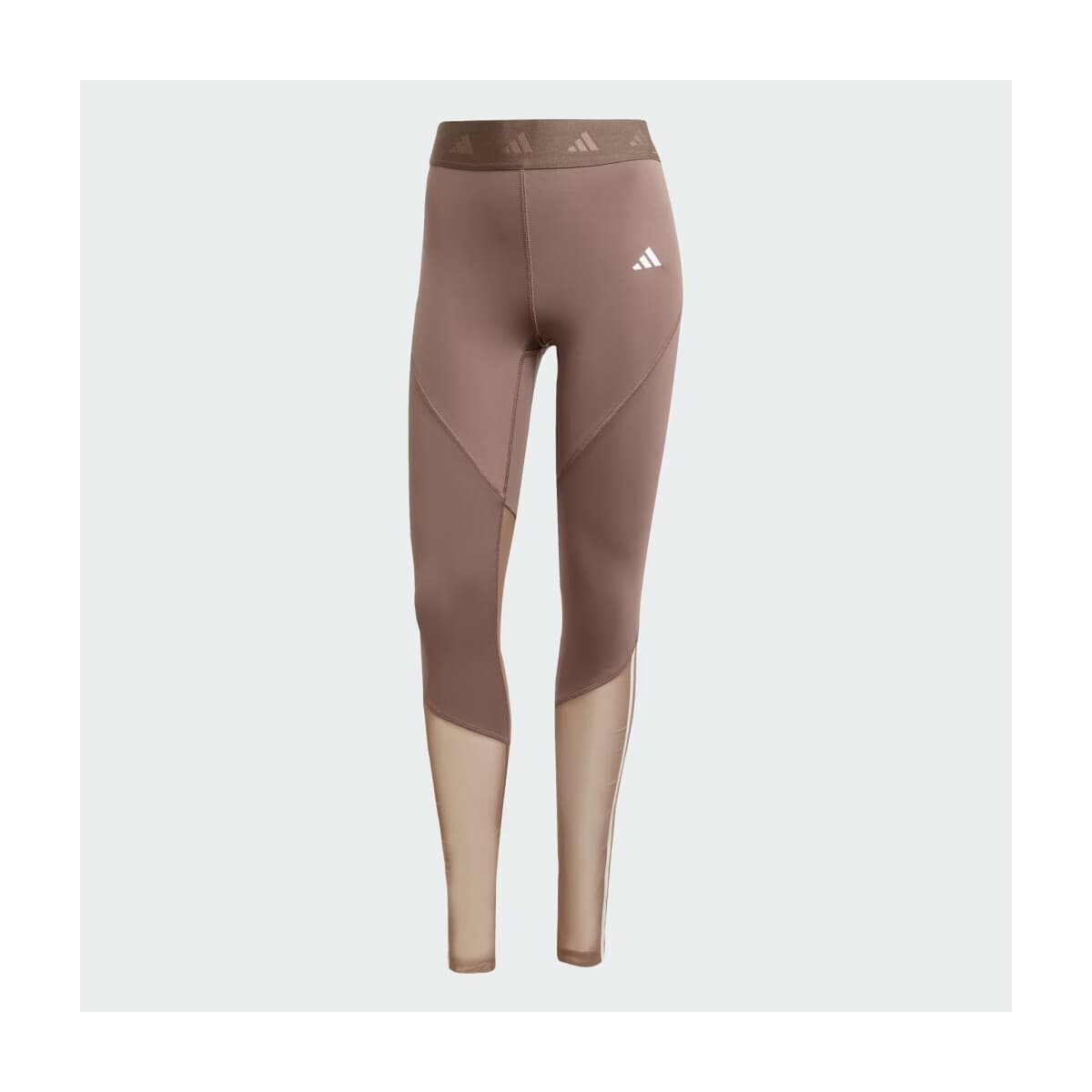 Women's Tights adidas Brown
