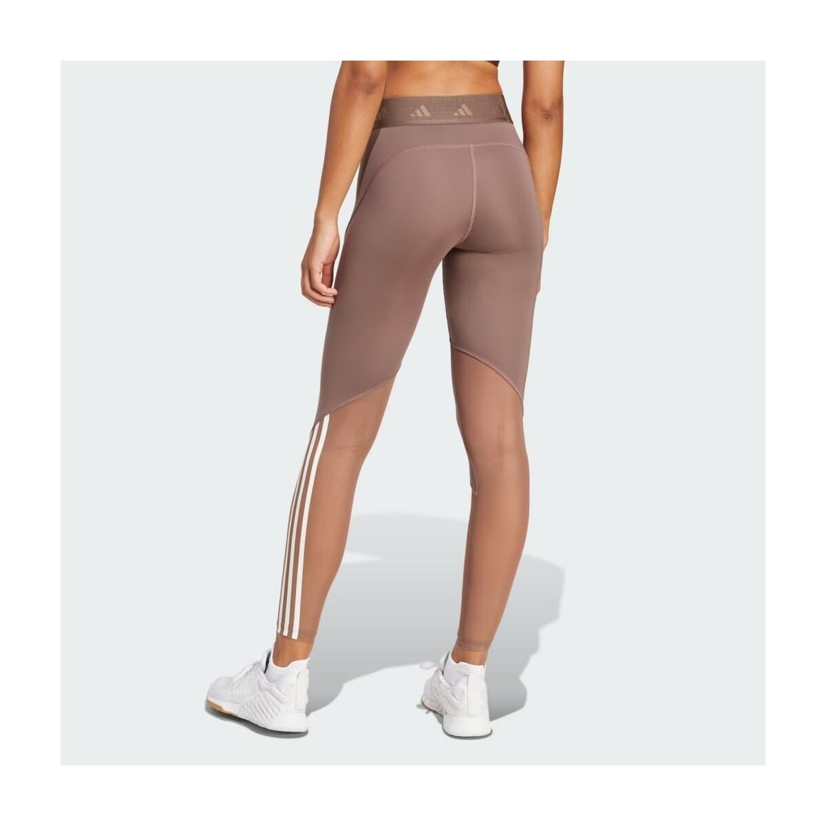 Women's Tights adidas Brown