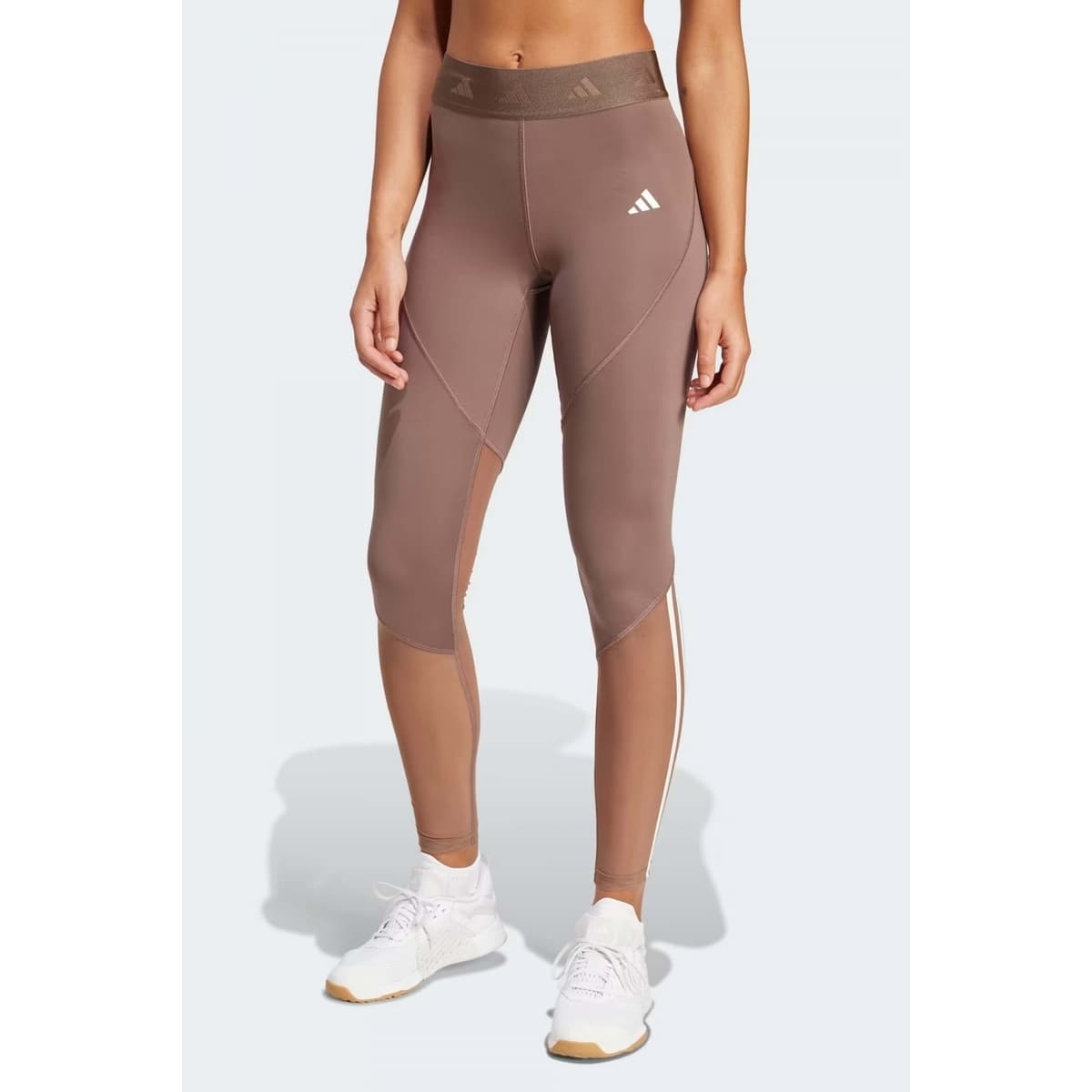 Women's Tights adidas Brown