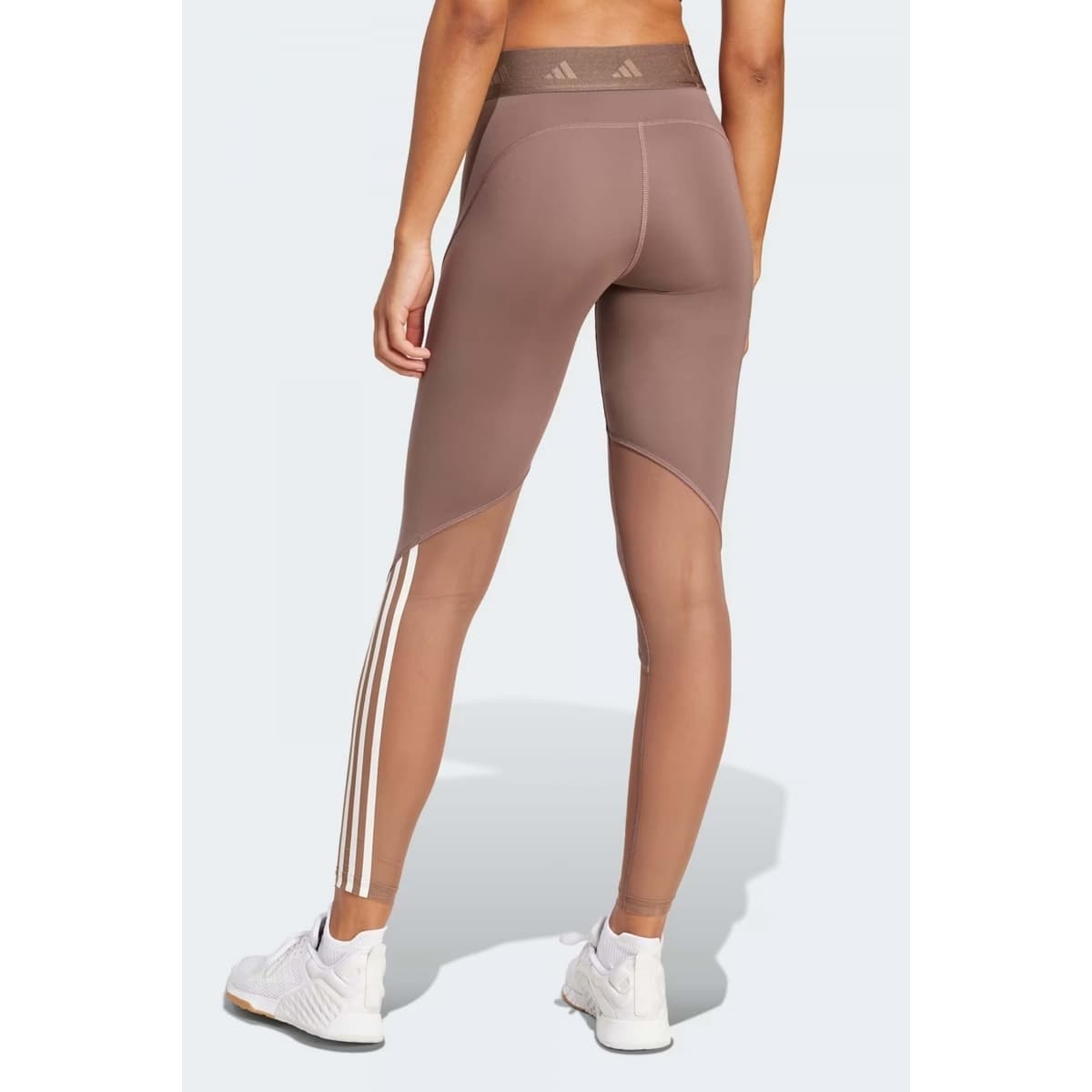 Women's Tights adidas Brown