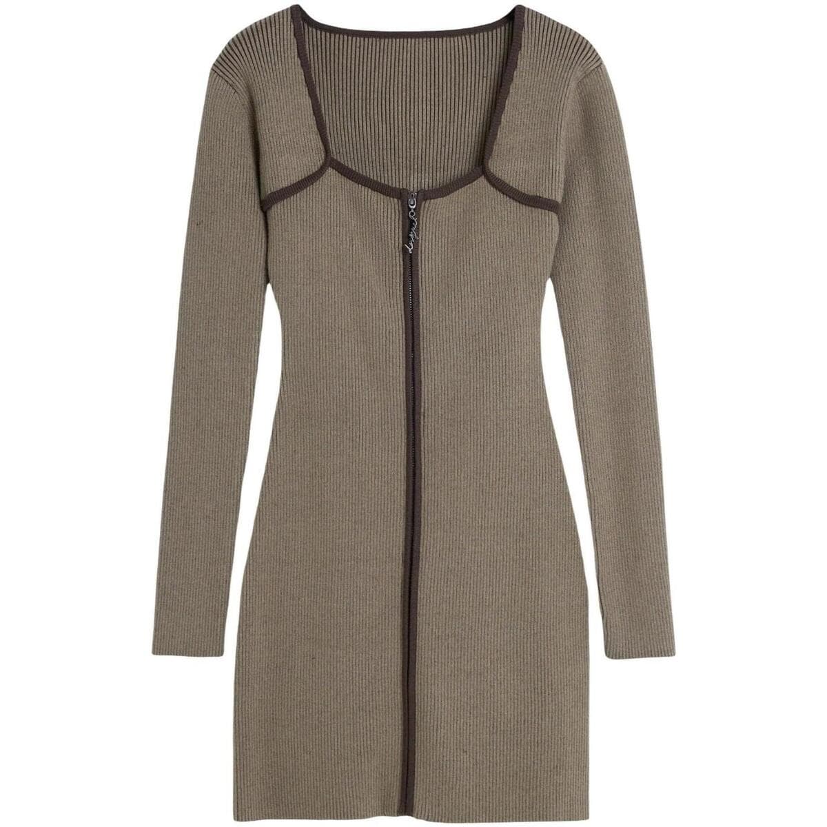 Women's Dresses Desigual Brown