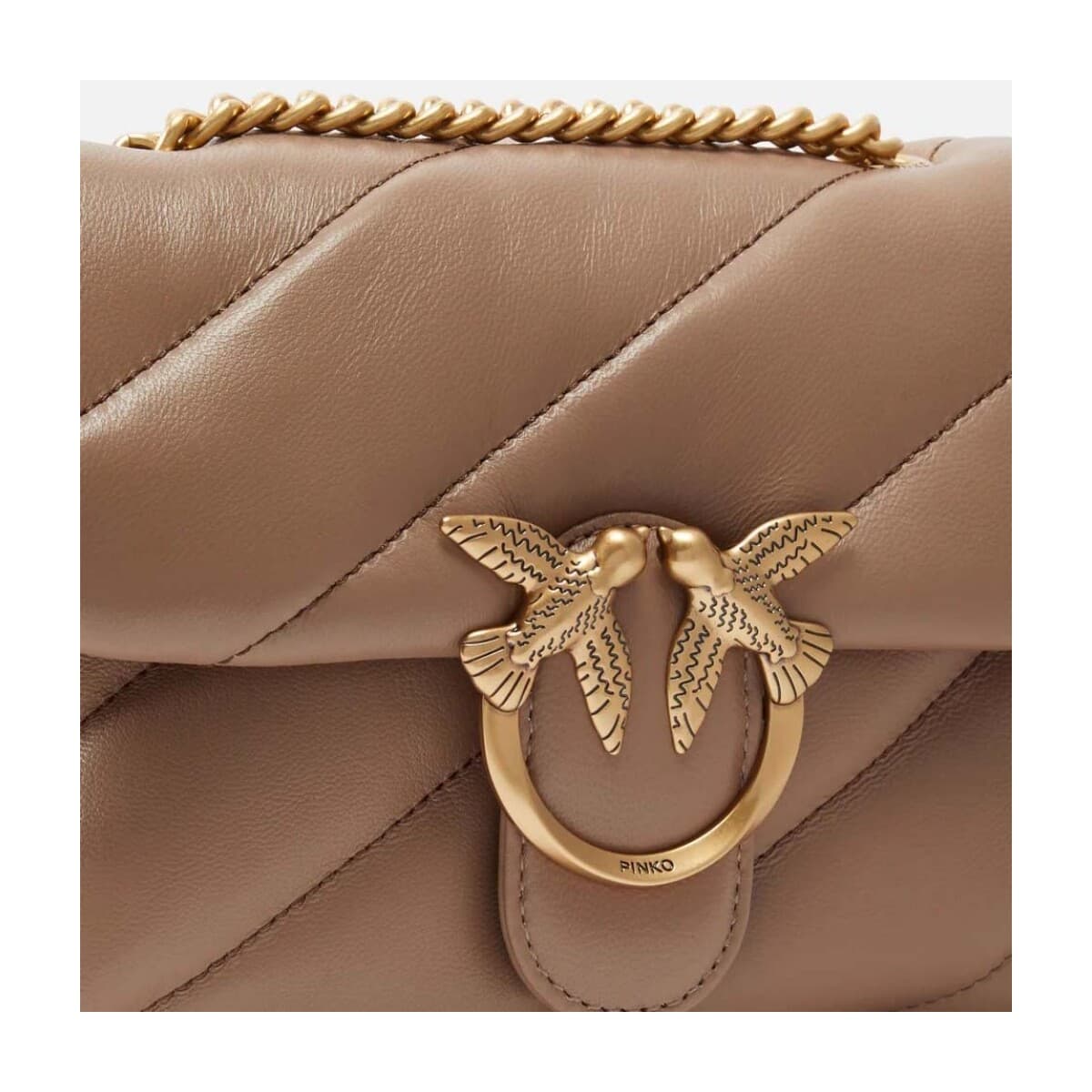 Women's Bags Pinko Brown