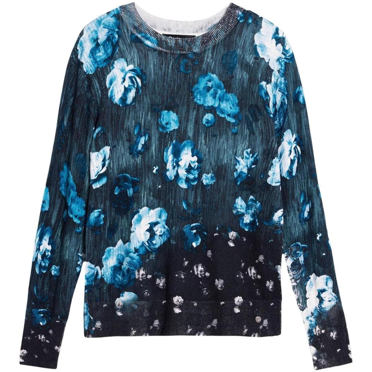 Women's Sweaters Desigual Black