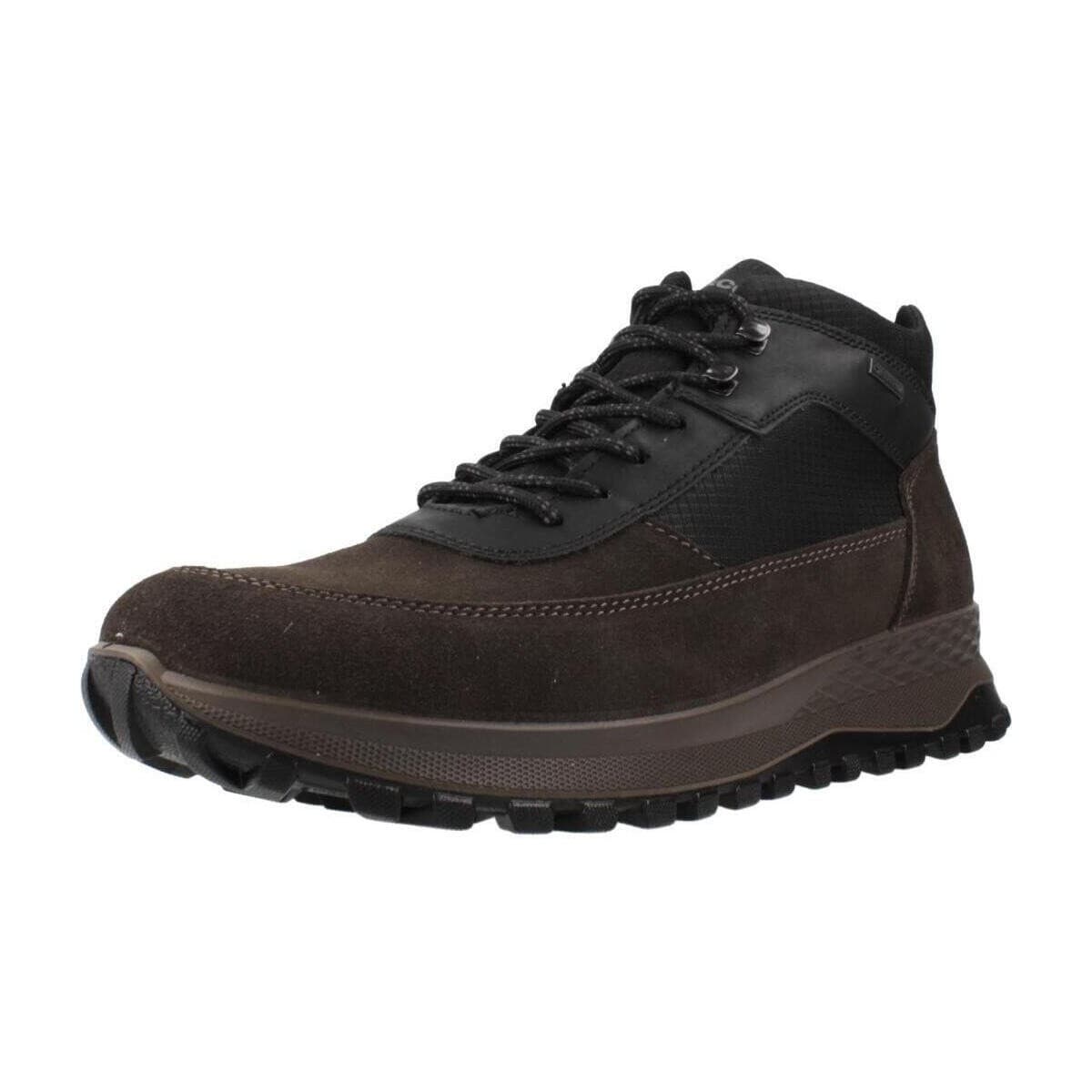 Men's Sneakers IgI&CO Brown