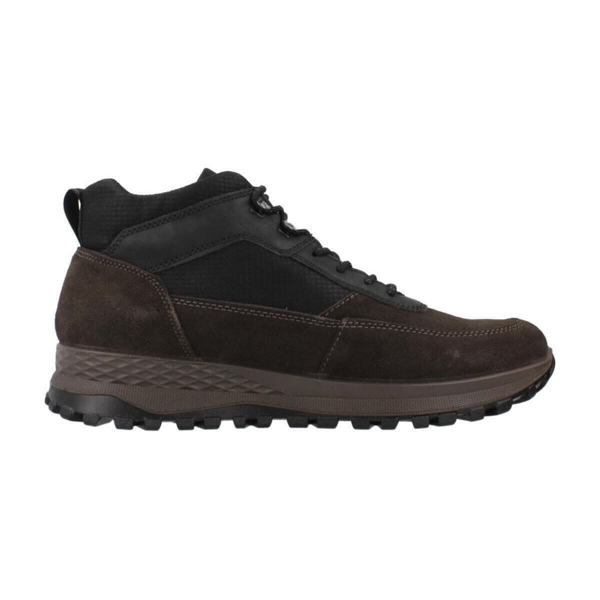 Men's Sneakers IgI&CO Brown