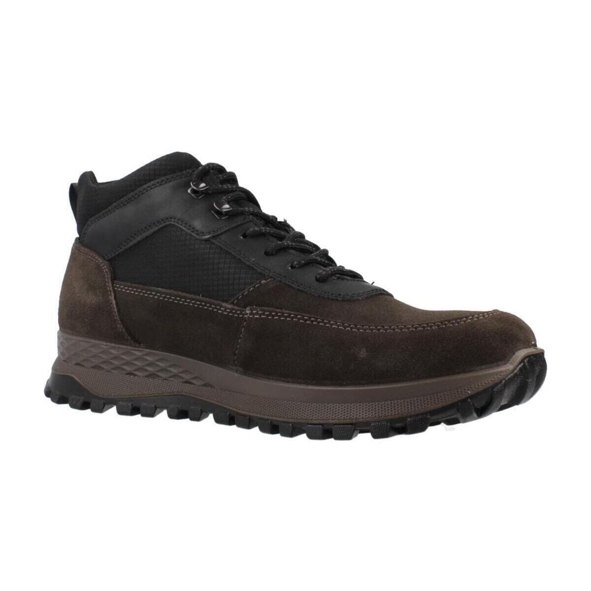 Men's Sneakers IgI&CO Brown