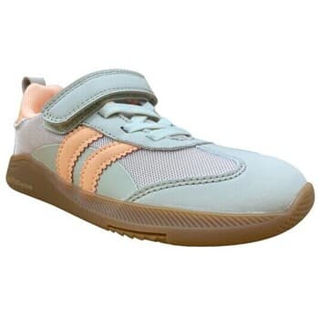 Boys' Sneakers Blanditos Gray